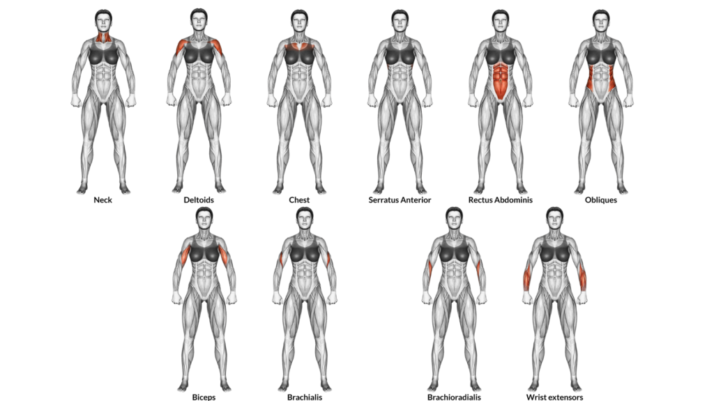 Frontal muscles of the torso are mostly involved in pushing motion