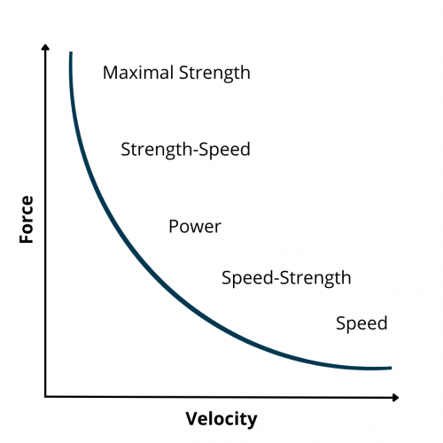 Moving slowly during Exercise, improves its efficacy